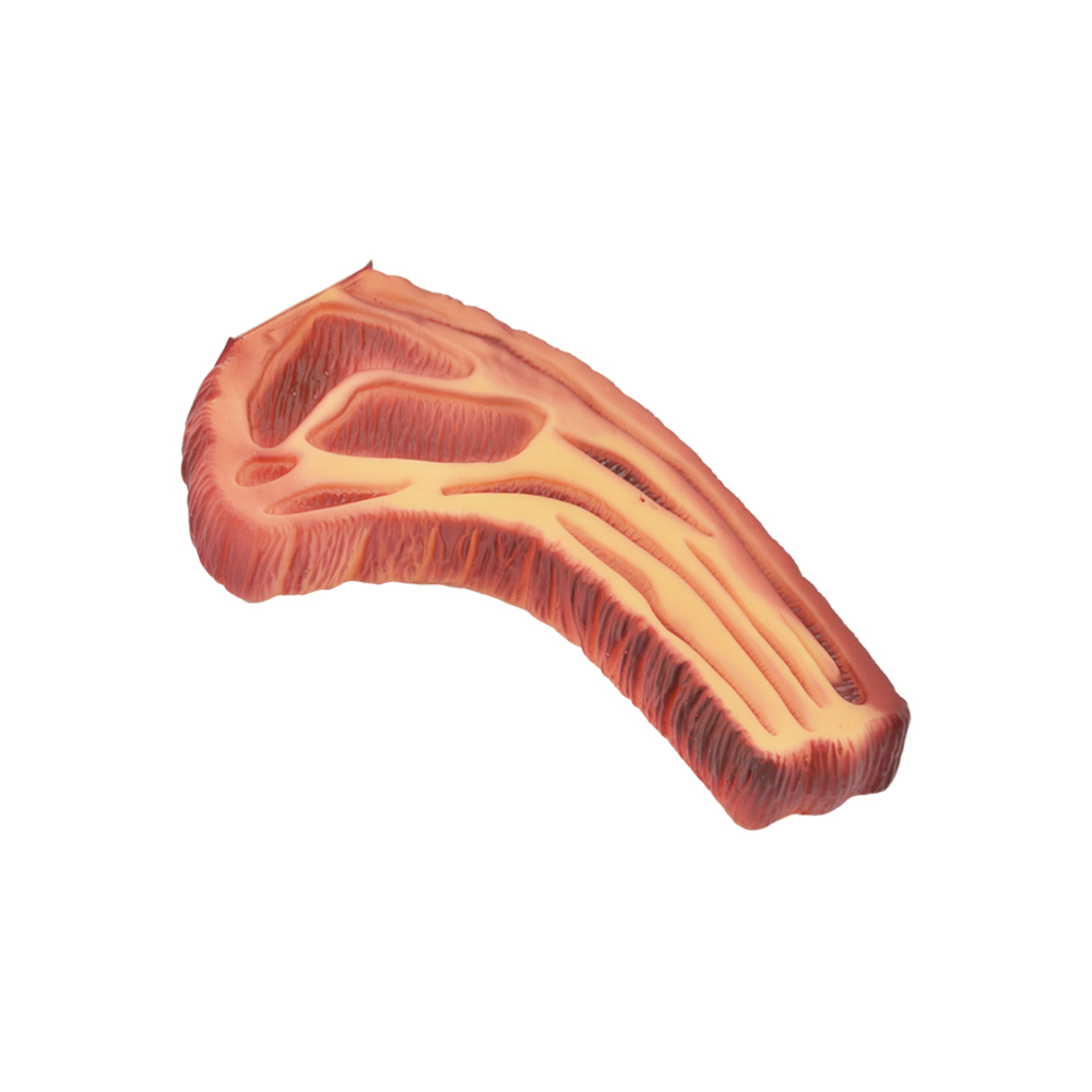 BISTECA 20.5CM - CM120