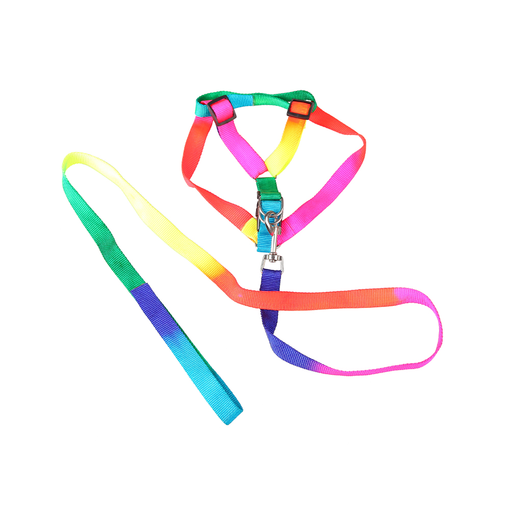 GUIA C/ PEITORAL ARCO-IRIS 1.5CM - CM240