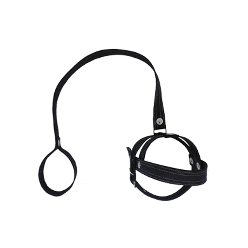 GUIA C/ PEITORAL EM NYLON M - CM 120